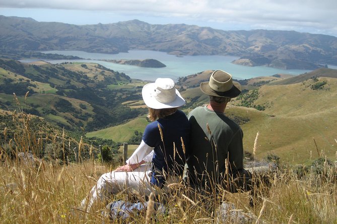 Akaroa and Banks Peninsula Small Group Tour (Nature Cruise or Dolphin Swim) - Pickup and Accommodation Details