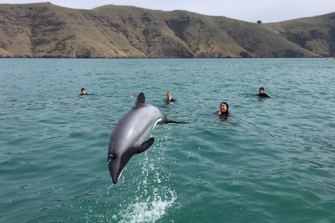 Akaroa Day Tour From Christchurch - Customer Experiences Shared