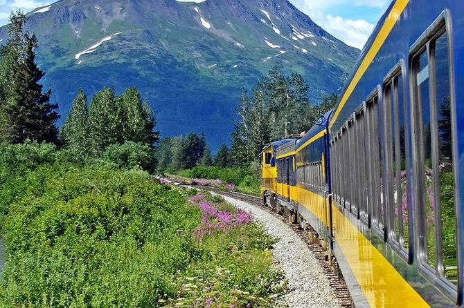 Alaska Railroad Anchorage to Seward Round-Trip Same Day Return - Seating and Comfort