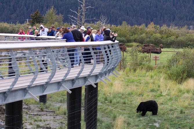 Alaska Wildlife Day Tour With Free Hotel Pickup - Inclusions and Amenities