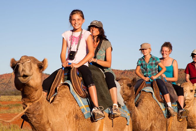 Alice Springs Camel Tour - Customer Experiences