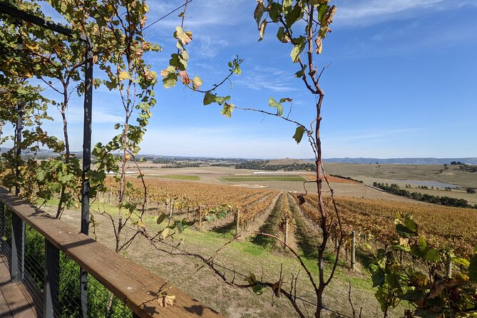 All Inclusive Full Day Private Wine Tour - Tastes of the Yarra Valley - Gourmet Lunch Inclusions