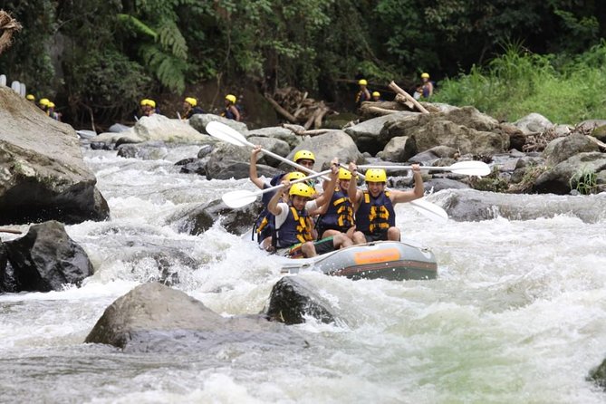 All Inclusive: Ubud River Rafting With Lunch and Transfers - Reviews