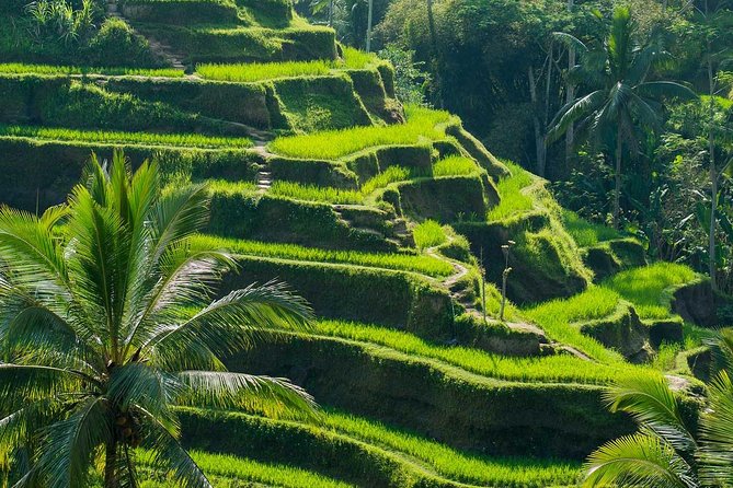 All Inclusive Ubud Tour With 15 Sitter Van - Booking Information