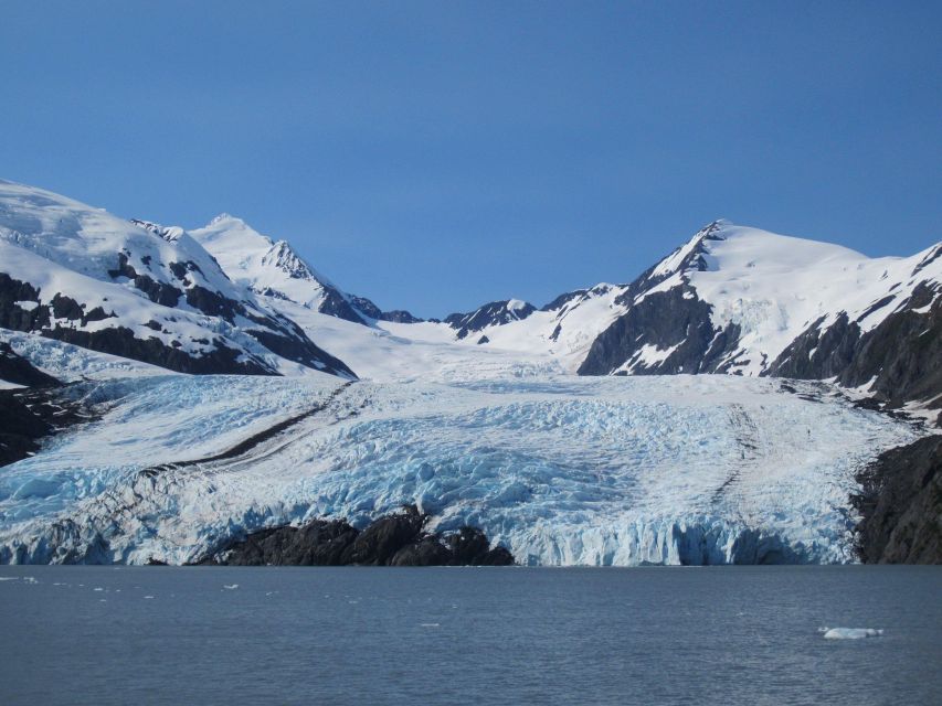 Anchorage: Glacier and Wildlife Explorer Cruise - Directions