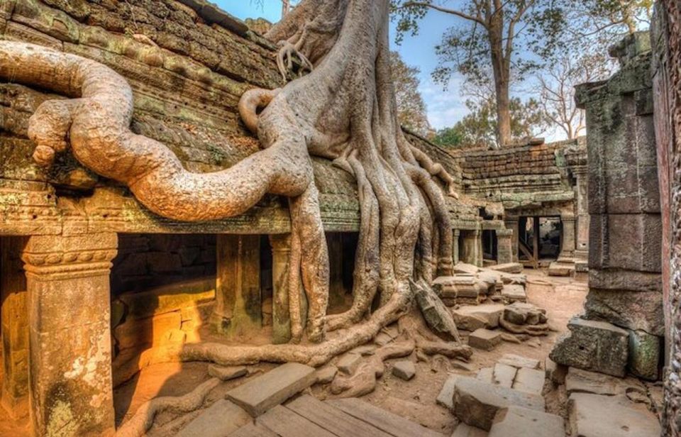 Angkor Wat: the Ultimate Temple Tour - 6 Days With 5* Hotel - Inclusions