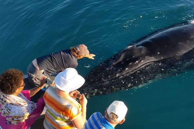 AOC Whale Watching From Broome - Pickup and Meeting Information