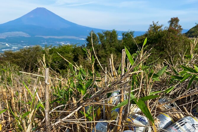Aokigahara Nature Conservation Full-Day Hiking Tour - Traveler Experience