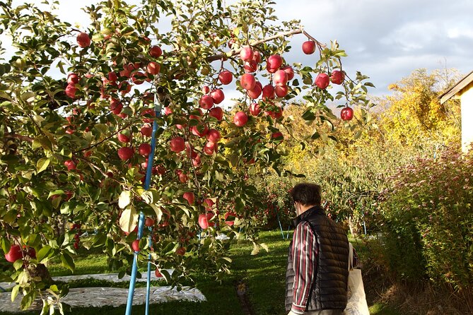Apple Picking and Hirosaki Full Day Private Tour - Tour Pricing Details