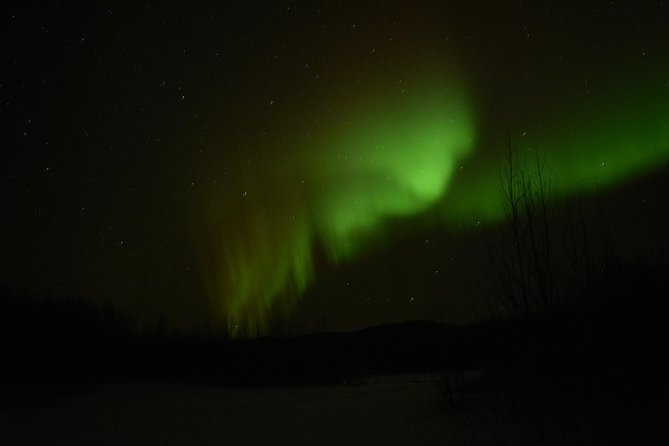 Arctic Circle and Northern Lights Tour From Fairbanks - Customer Experiences and Testimonials