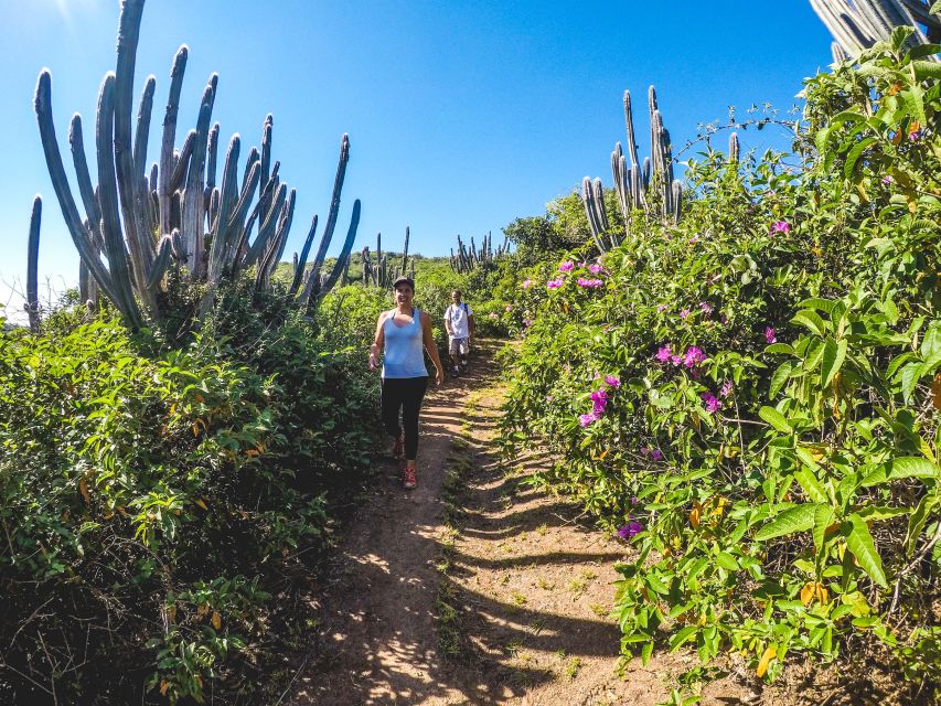 Armação Dos Búzios: Walk Through the Natural Pools in Búzios - Location Details