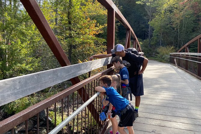 Asheville Waterfall Small-Group Tour - Common questions