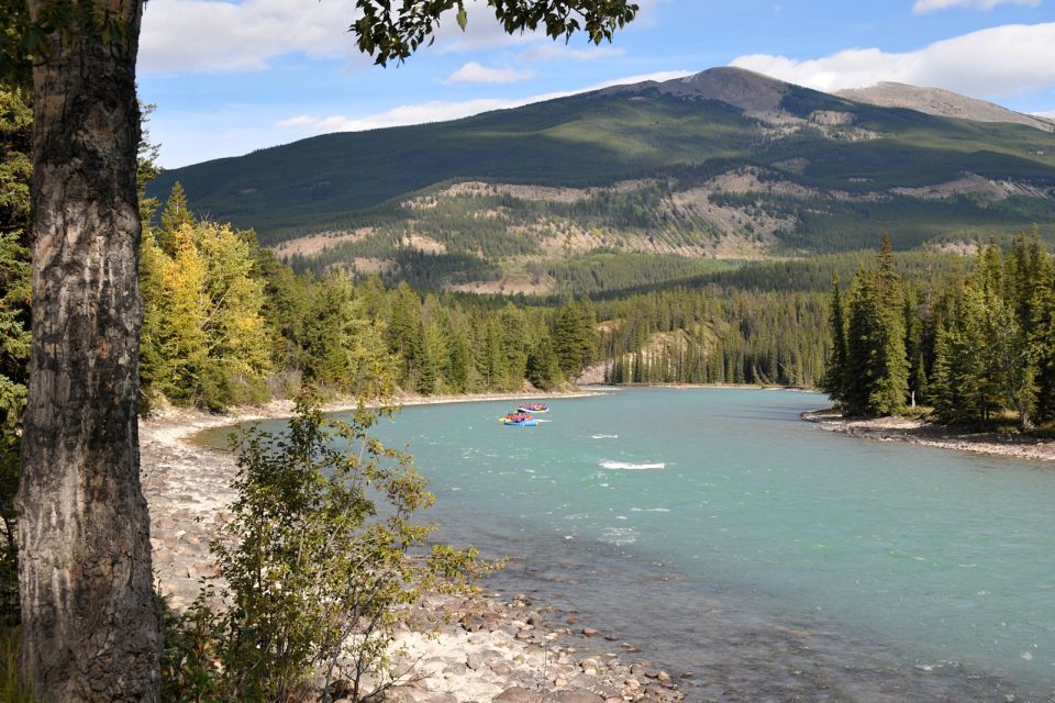 Athabasca Falls: Class 2 White Water Rafting Adventure - Highlights