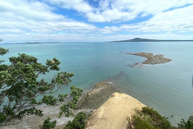 Auckland City and West Coast Full Day Tour - Traveler Experience