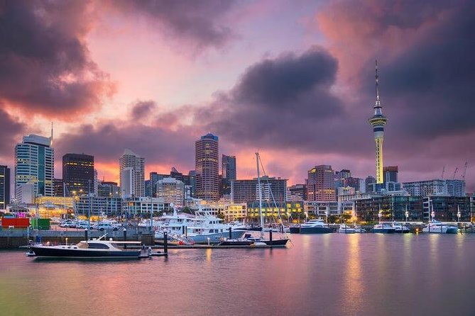 Auckland City Scenic Tour - Group Size and Minimum Travelers