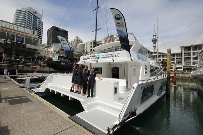 Auckland Dolphin and Whale Watching Eco-Safari Cruise - What to Bring