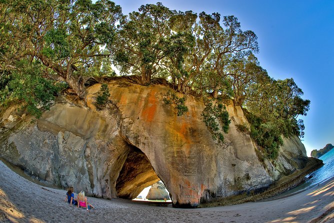 Auckland to Coromandel Private Tour - Additional Information and Logistics