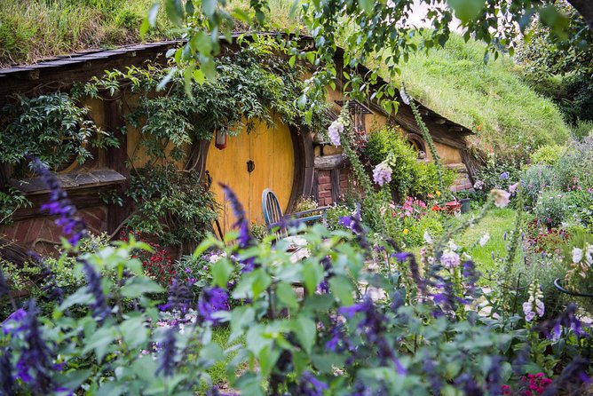 Auckland to Rotorua via Hobbiton Small Group Tour (One Way) - Reviews