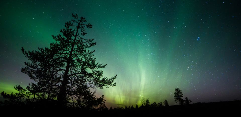 Aurora Borealis Quest: Private Yukon Nighttime Tour - Important Information