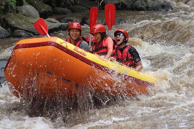 Ayung River - White Water Rafting Bali - Safety Measures and Equipment Provided
