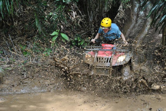 Bali ATV Ride Ubud Rice Field Track - Reviews and Ratings