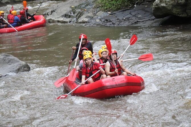 Bali Ayung River Small-Group Whitewater Rafting Tour  - Ubud - Requirements and Restrictions