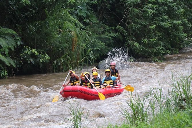 Bali Ayung River White-Water Rafting With Lunch  - Ubud - Meet Your Guides