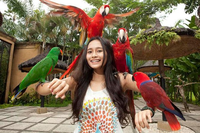 Bali Bird Park Admission Ticket With Hotel Transfer - Hassle-Free Hotel Transfers