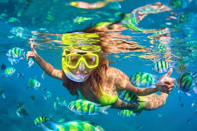 Bali Blue Lagoon Snorkeling Experience - Cancellation Policy Details