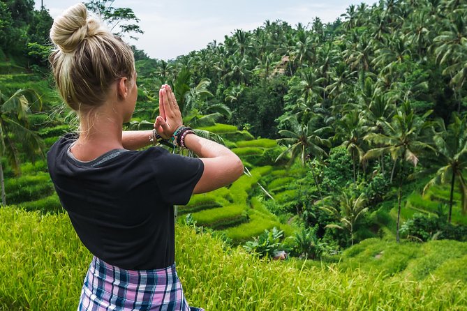 Bali Full Day Tour: Highlights of Ubud and Hidden Waterfall - Complimentary Pick-up and Drop-off
