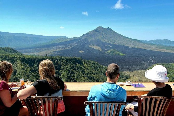 Bali Global Tour: Rice Terrace the Sacred Monkey Forest and Volcano Including Lunch - Customer Reviews