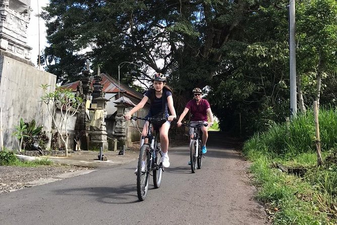 Bali Half-Day Cycling Tour With Lunch  - Ubud - Sum Up