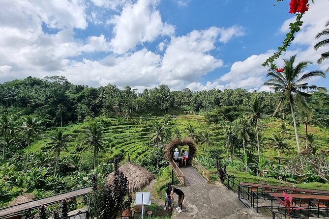 Bali Holy Bathing Ritual and Ubud Highlights Tour - Cancellation Policy Information