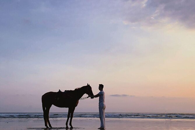 Bali Horse Riding in Seminyak Beach Private Experiance - Traveler Feedback