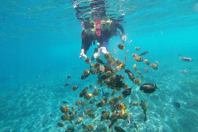 Bali Private Snorkeling (Manta, Gamat, Crystal) and Nusa Penida Tour - Crystal Bay Exploration