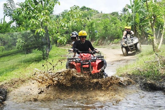 Bali Quad Bike Through Gorilla Cave - Monkey Forest and Waterfall - Customer Reviews and Testimonials