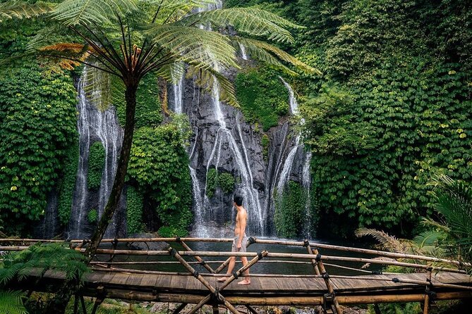 Bali Sekumpul Waterfall, Banyumala Waterfall and Bedugul Temple ( Private Tours) - Traveler Reviews