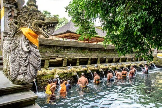 Bali Tour - Sightseeing Tour and Traditional Village - Tasting Experience