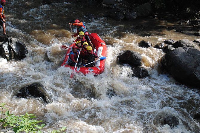 Bali White Water Rafting With Lunch - Traveler Photos