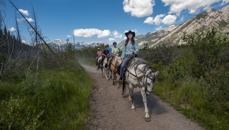 Banff: 3-Hour Bow Valley Loop Horseback Ride - Important Information