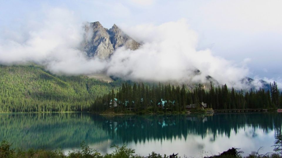 Banff: Go Chasing Waterfalls in Banff & Yoho National Parks - Wildlife Encounters in the Parks