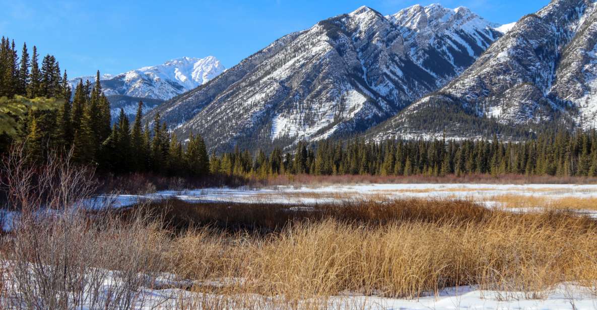 Banff: Historic Cave & Basin Self-Guided Walking Audio Tour - Tour Description