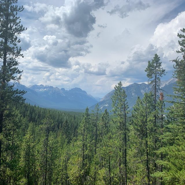 Banff: Local Legends and Landmarks - History Tour 2hrs - Review Summary