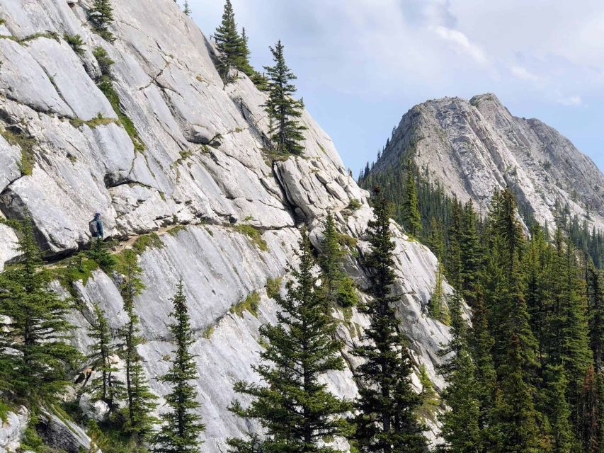 Banff: Sulphur Mountain Guided Hike - Booking Information