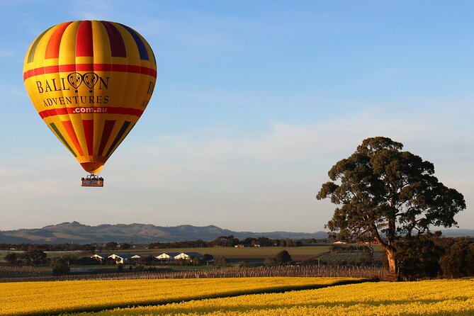 Barossa Valley Hot Air Balloon Ride With Breakfast - Important End Point Information