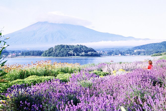 Barrier-Free Private Mt. Fuji Tour for Wheelchair Users - Experienced Tour Guides