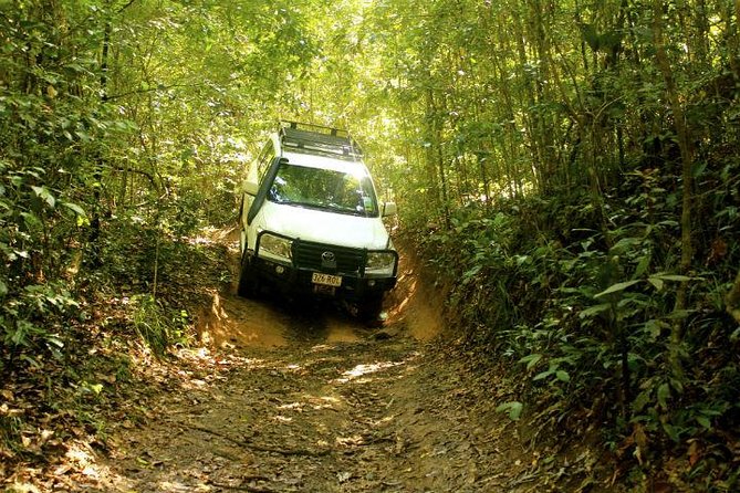 Barron Gorge and Kuranda National Park Half Day Rainforest and Waterfall 4WD Tour From Cairns - Tour Guide Expertise