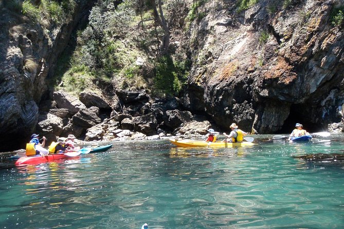 Batemans Bay Glass-Bottom Kayak Tour Over 2 Relaxing Hours - Inclusions and Logistics
