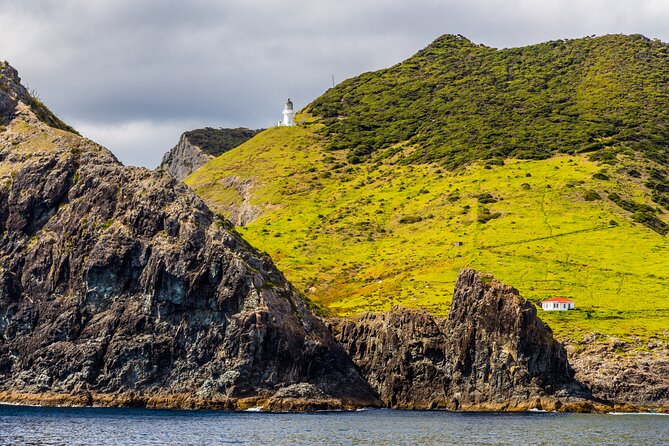 Bay of Islands Cruise & Island Tour - Snorkel, Hike,Swim,Wildlife - Key Tour Highlights