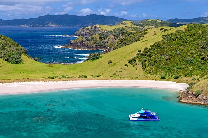 Bay of Islands Discovery Experience From Auckland Incl. Hole in the Rock Cruise - Onboard Services